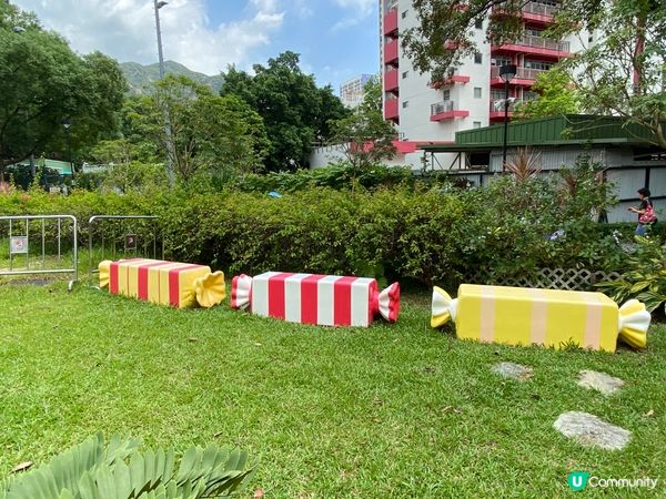 屯門公園爬蟲館，親子生態遊🤩！