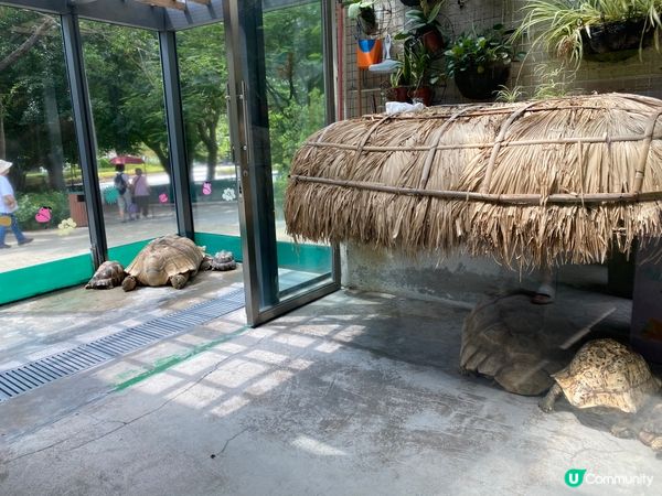 屯門公園爬蟲館，親子生態遊🤩！