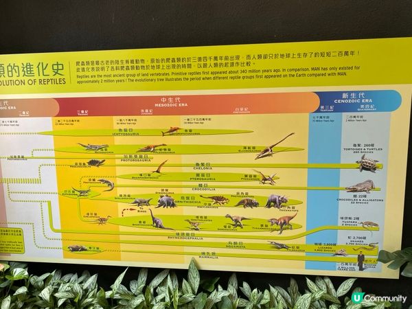 屯門公園爬蟲館，親子生態遊🤩！