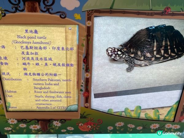 屯門公園爬蟲館，親子生態遊🤩！