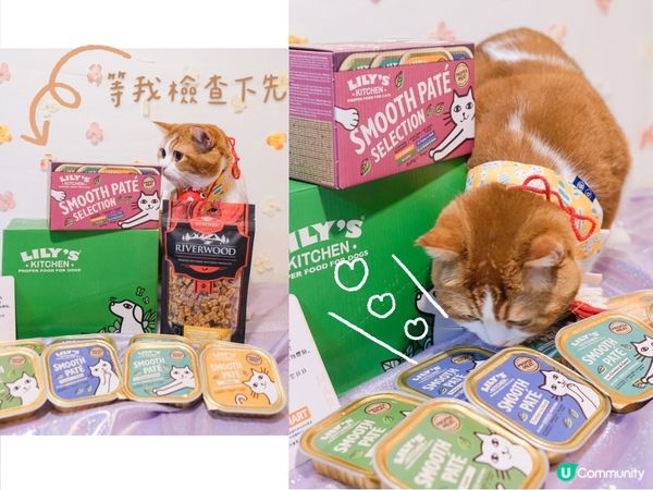 【🎁Paw Mart× Nana Guru快閃抽獎🥳】