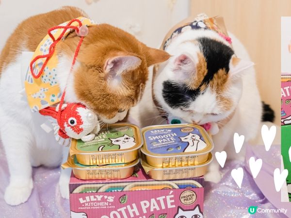 【🎁Paw Mart× Nana Guru快閃抽獎🥳】