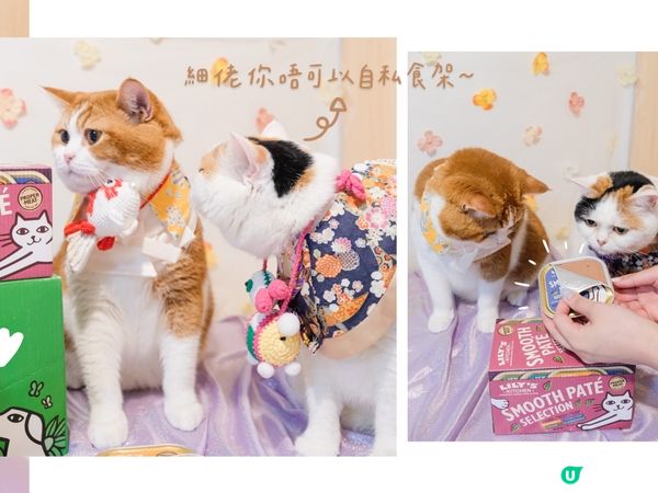 【🎁Paw Mart× Nana Guru快閃抽獎🥳】