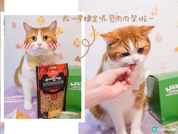 【🎁Paw Mart× Nana Guru快閃抽獎🥳】