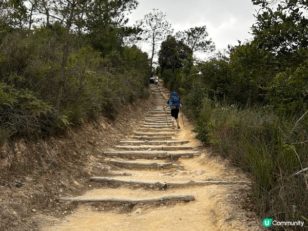 入秋又到行山季節，行完太累晚餐去附近新開潮州店，不收茶介，加...