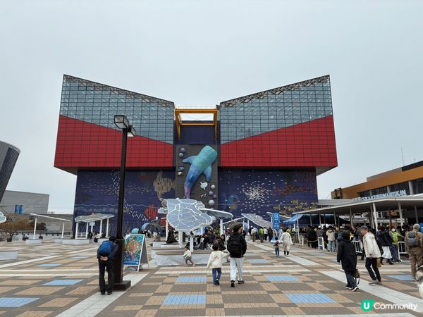 3張相均為日本拍攝，第一張為天橋立，雖然當日天氣不好，但景色...