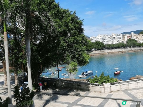 這些地方的風景也很美，最後一張是南山村的白汁芒果冰， 價錢便...