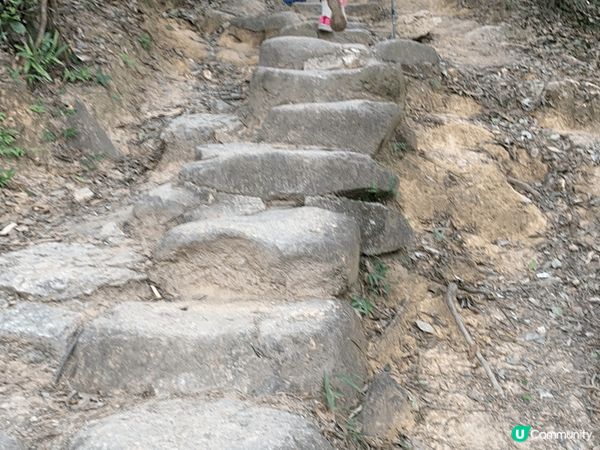 秋風起，我推薦假日可以約定三五知己去行下山，出身汗好舒服。係...