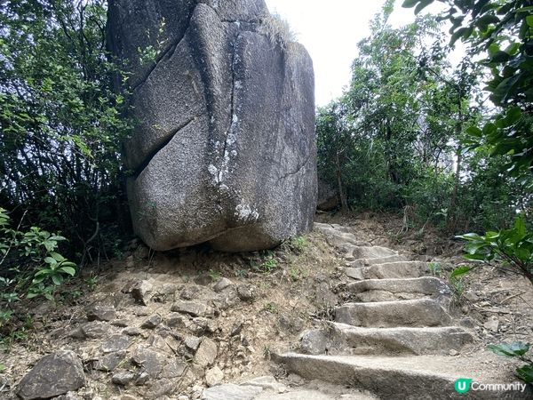 秋風起，我推薦假日可以約定三五知己去行下山，出身汗好舒服。係...