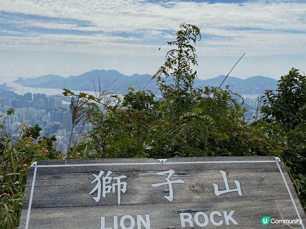 秋風起，我推薦假日可以約定三五知己去行下山，出身汗好舒服。係...