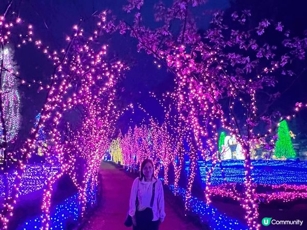 最近冇去其他地方玩，所以都係擺返之前去韓國影嘅相，最鍾意就係...