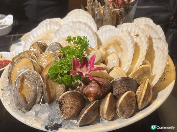 旺角呢間淥鼎記真係性價比高，$378港幣包刺身，主菜同任食火...