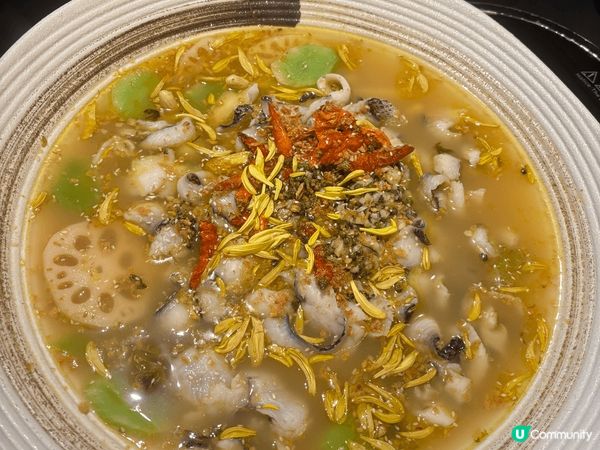 旺角呢間淥鼎記真係性價比高，$378港幣包刺身，主菜同任食火...