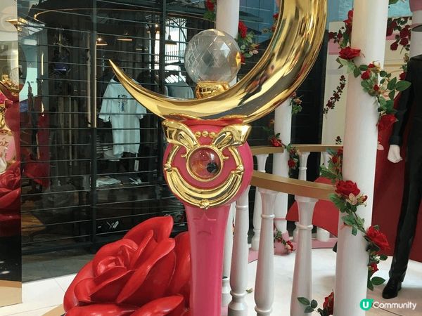 我都係美少女戰士嘅忠實粉絲 ，以上嘅相都係好耐以前影，我特別...