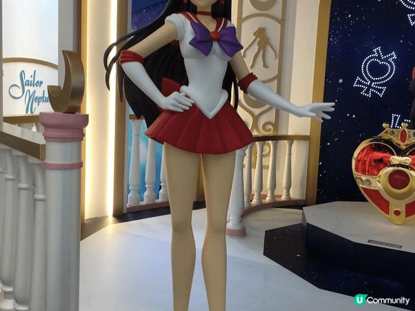 我都係美少女戰士嘅忠實粉絲 ，以上嘅相都係好耐以前影，我特別...