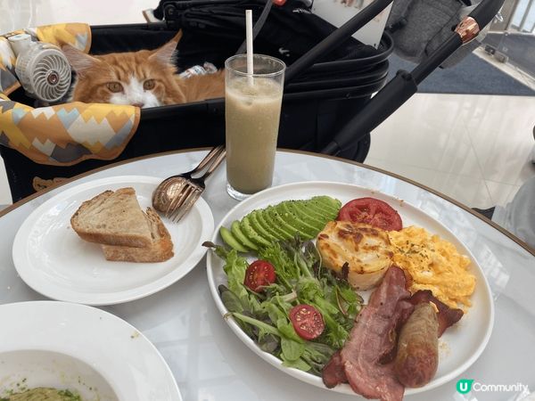 青醬雞肉義大利麵配檸檬泡沫咖啡雞肉一啲都唔韌 應該係慢煮整出...