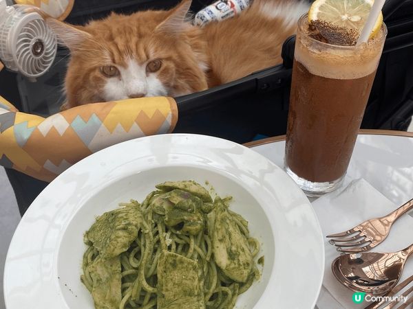 青醬雞肉義大利麵配檸檬泡沫咖啡雞肉一啲都唔韌 應該係慢煮整出...