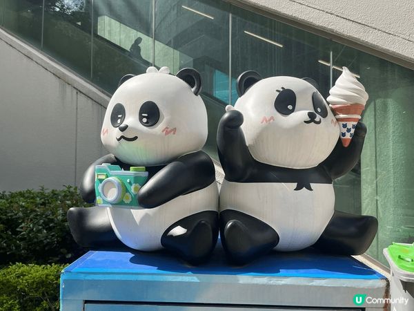 喺鰂魚涌見到好可愛嘅熊貓🐼公仔，好適合同佢打卡🥰🥰超可愛☺️...