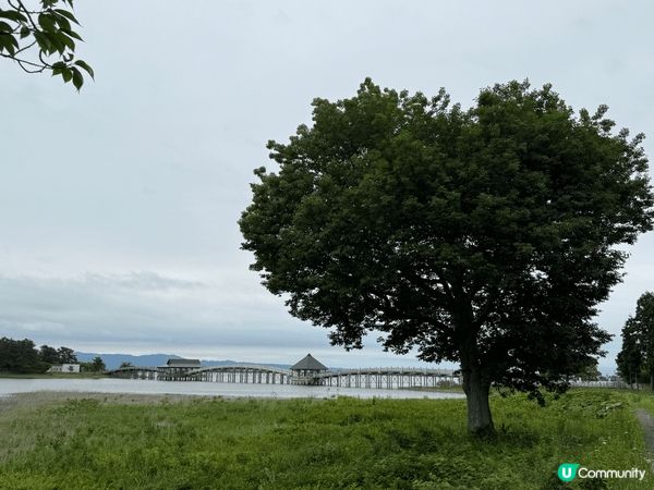 青森鶴の舞橋，日本最長的檜木造三重拱橋。