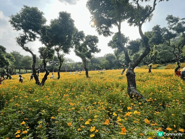 剛剛中秋節假期北上深圳，去了位於南山區的西麗生態公園，如今正...