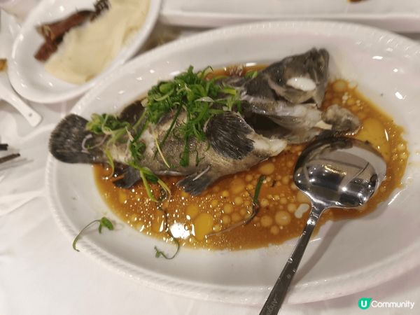 食魚好健康，食花膠涼拌養顏又瘦身。