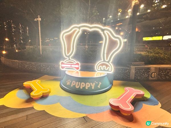 青衣城變身貓狗樂園！🐾 帶埋毛孩嚟放電！🥳