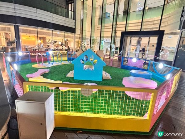 青衣城變身貓狗樂園！🐾 帶埋毛孩嚟放電！🥳