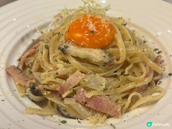 旺角地舖貓貓餐廳體驗！😻 食嘢又可以玩貓！