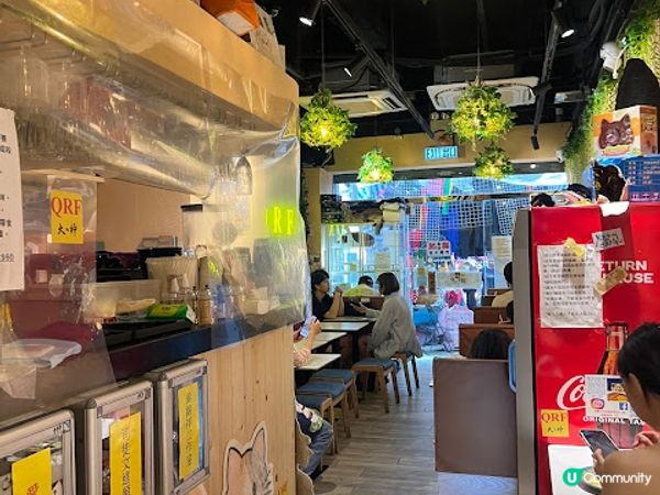 旺角地舖貓貓餐廳體驗！😻 食嘢又可以玩貓！