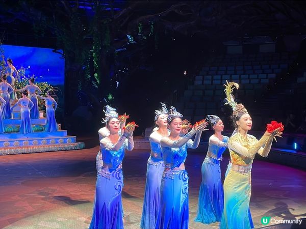 傣秀體驗🤩！水上奔跑🔥，沉浸感爆燈！