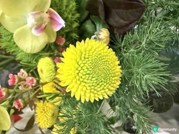 💐💐Happy Monday💐💐