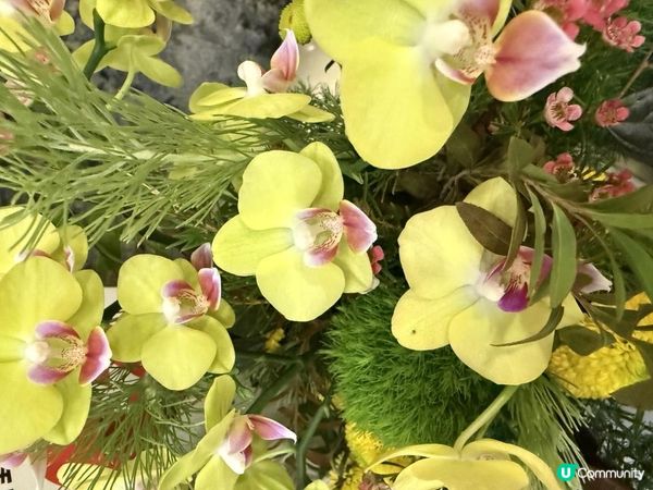 💐💐Happy Monday💐💐