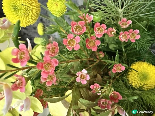 💐💐Happy Monday💐💐