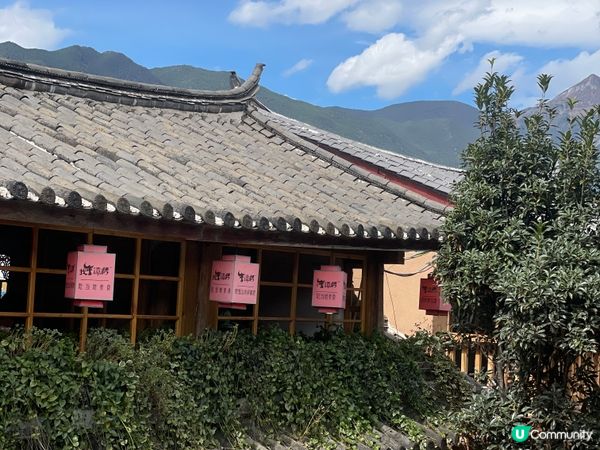 雪山下嘆茶🍵！麗江小確幸之旅🏔️，打卡必去！