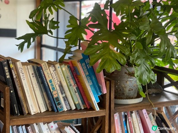 雪山下嘆茶🍵！麗江小確幸之旅🏔️，打卡必去！