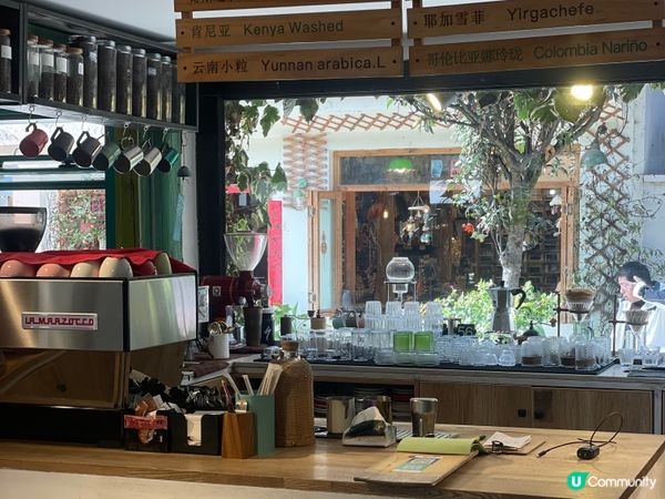 雪山下嘆茶🍵！麗江小確幸之旅🏔️，打卡必去！