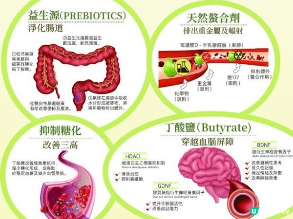 柏沛樂利用蘋果🍏果膠的健康天然優勢，採用高濃縮納米配方， 瞬...