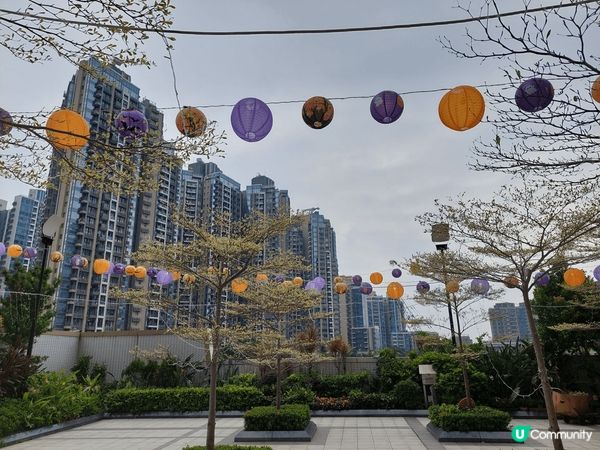 去黃大仙廟會用驅蚊大師，因為黃大仙廟真係好多蚊，上次先比蚊咬...