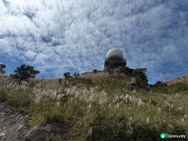 我每星期都行山及跑步，成日遇到蚊和蠓，好煩擾，就算有其他人伴...