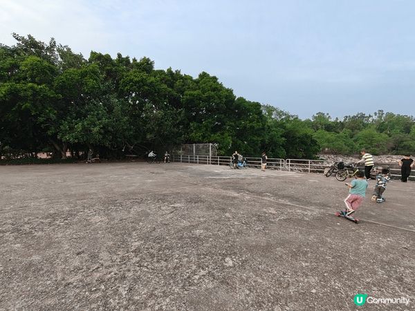 大埔海濱公園。呢個咁多樹木，草地既地方。非常多蚊。岩哂測試驅...