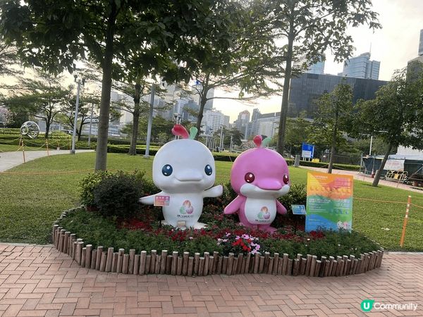 今次同大家介紹下灣仔海濱公園，呢個灣仔海濱公園真係環境清幽，...