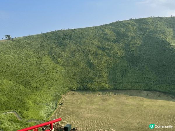 伊豆動物公園真係非常適合家庭去, 樂園唔算超級大, 但每個地...