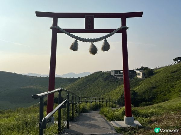 伊豆動物公園真係非常適合家庭去, 樂園唔算超級大, 但每個地...