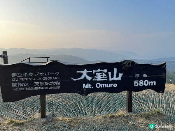 伊豆動物公園真係非常適合家庭去, 樂園唔算超級大, 但每個地...