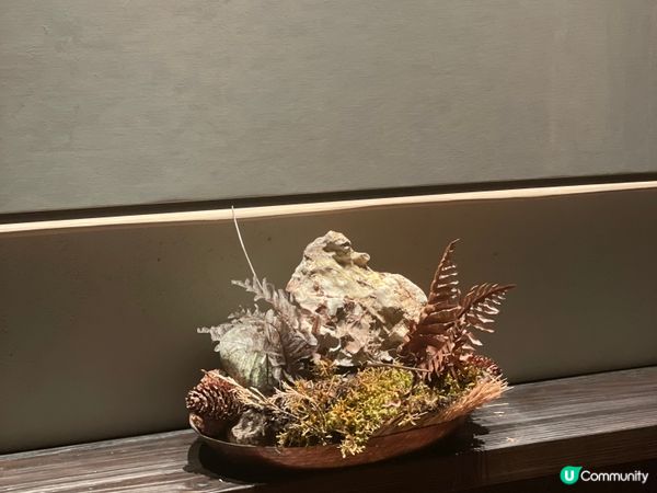 梅里雪山之旅🏔️霧濃頂擦肩而過！🥺