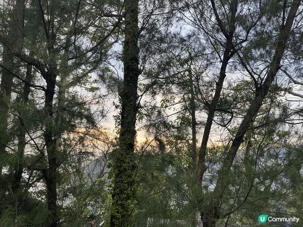 可能海洋公園多叢林,當日去都幾多蚊｡好彩我帶備冇DEET成份...