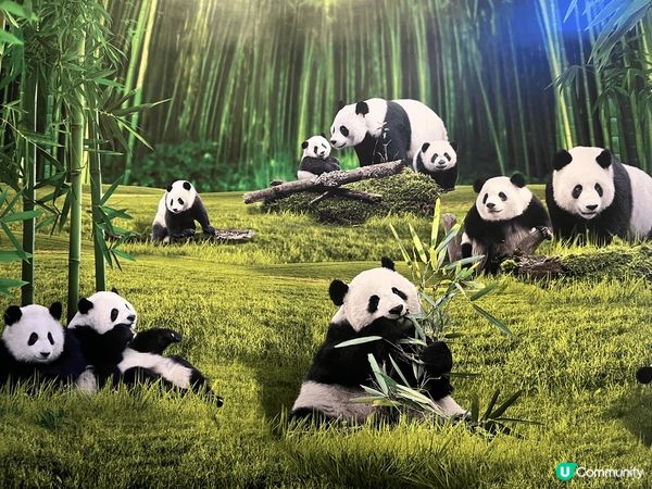 香港周圍去，沿途都有好多不同美景等你去發掘。我比較鍾意去郊區...