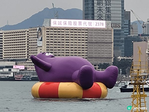 呢個係香港嘅打卡熱點 water parade, 可以去睇d...