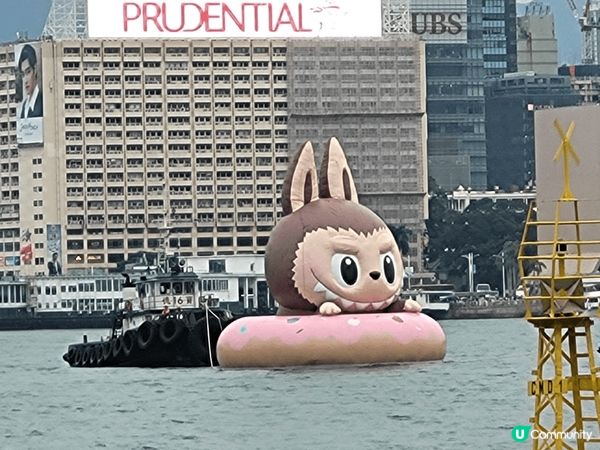 呢個係香港嘅打卡熱點 water parade, 可以去睇d...