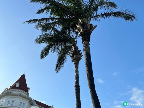 一定係香港迪士尼樂園酒店🏨因為好靚，而且又近海邊，可以吹下海...